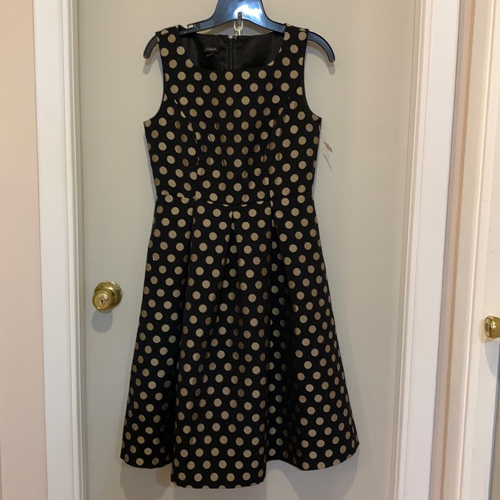 Talbots Polka Dot dress